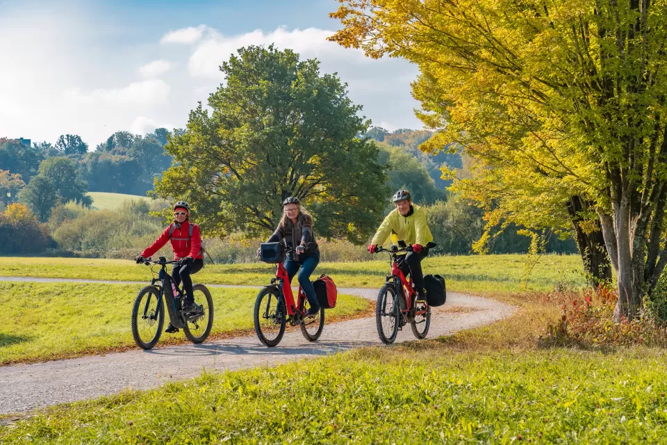 Three people riding e-bikes on park trail